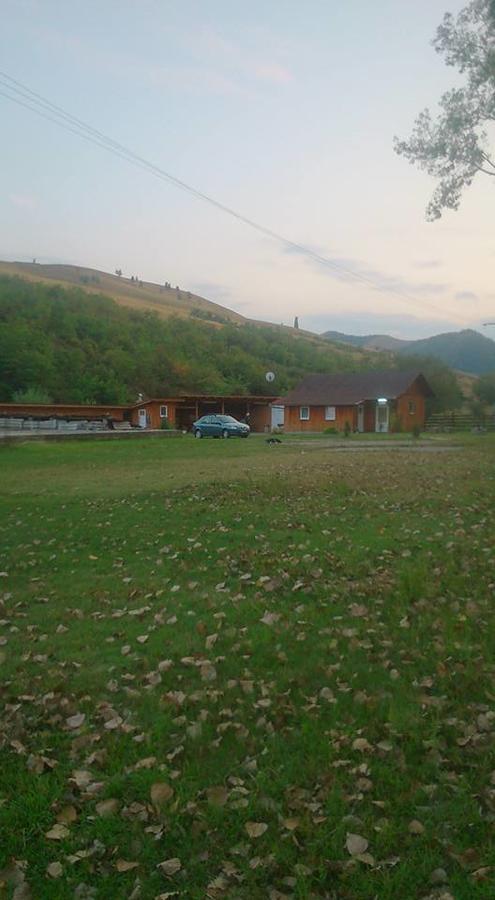 Pensiunea Aureliano Răchita Zewnętrze zdjęcie